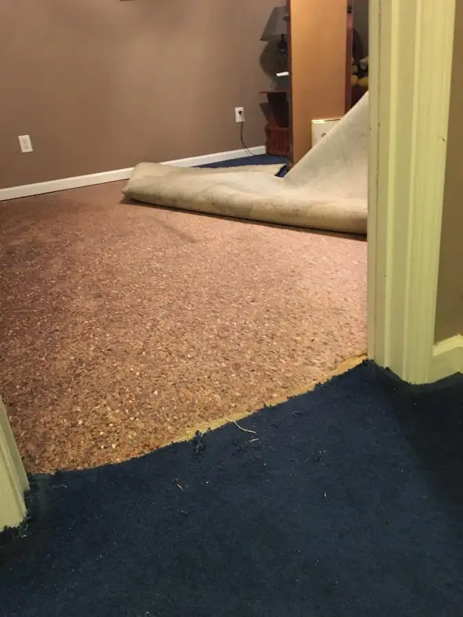 Carpet pad removal revealing water damage during Water Mitigation Services in West Chicago